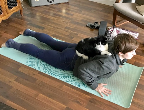 backbend with cat